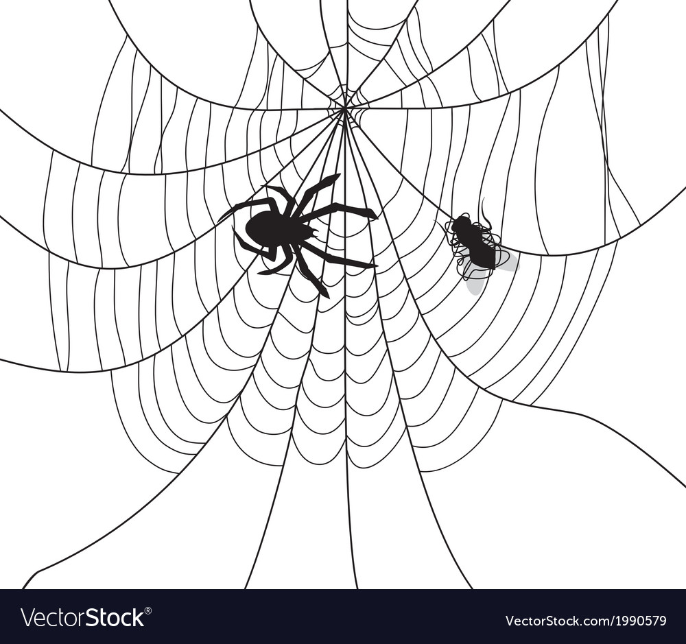 spider-and fly