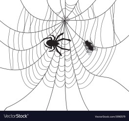 spider-and fly
